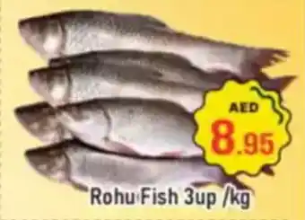 Al Madina Rohu Fish 3up offer