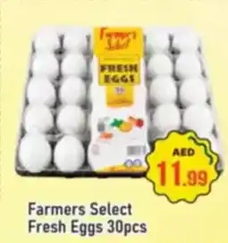 Al Madina Farmers Select Fresh Eggs offer