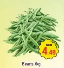 Al Madina Beans offer