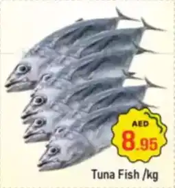 Al Madina Tuna Fish offer