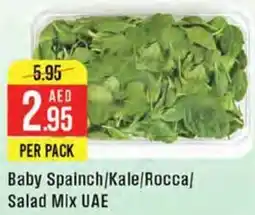 West Zone Supermarket Baby Spainch, Kale, Rocca, Salad Mix UAE offer