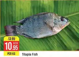 West Zone Supermarket Tilapia Fish offer