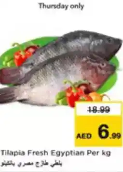 Nesto Tilapia Fresh Egyptian offer