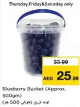 Nesto Blueberry Bucket offer