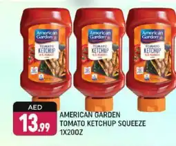 Shaklan AMERICAN GARDEN Tomato Ketchup offer