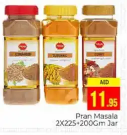 Pasons PRAN Spices / Masala offer
