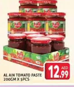 Palm Centre AL AIN Tomato Paste offer