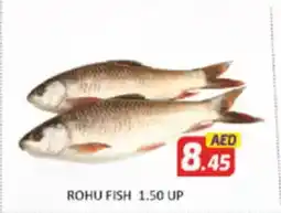 Al Madina Rohu fish 1.50 up offer