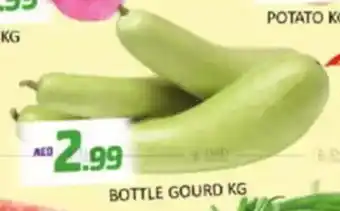 Al Madina Bottle Gourd offer