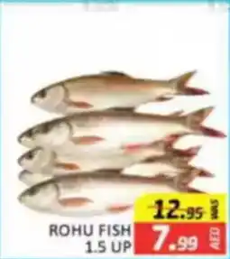 Al Madina Rohu fish offer