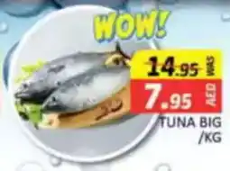 Al Madina Tuna big offer