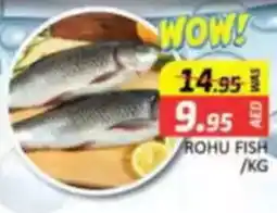 Al Madina Rohu fish offer