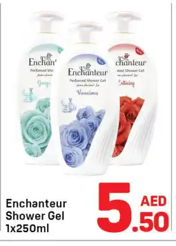 Day To Day Enchanteur Shower Gel offer