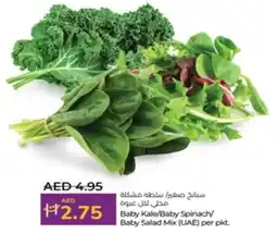 Lulu Hypermarket Baby Kale/Baby Spinach, Baby Salad Mix (UAE) offer