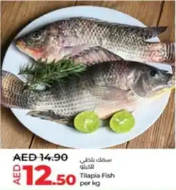 Lulu Hypermarket Tilapia Fish offer