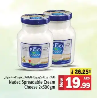 Kenz Hypermarket NADEC Cream Cheese offer