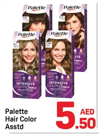 Day To Day PALETTE Hair Colour offer