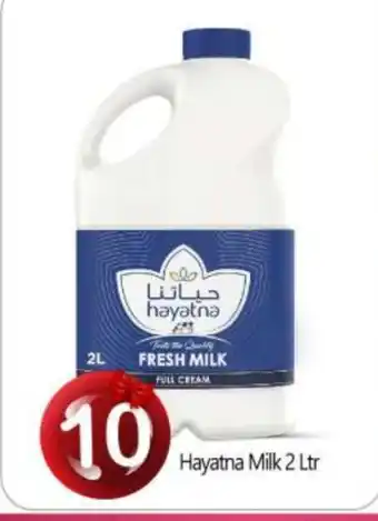 Bigmart HAYATNA Full Cream Milk offer