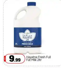 Bigmart HAYATNA Full Cream Milk offer