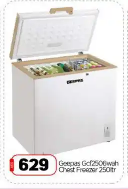 Bigmart GEEPAS Freezer offer