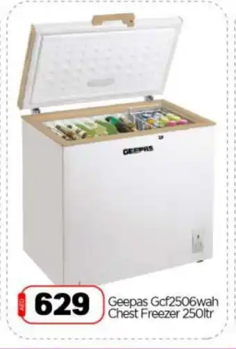 Bigmart GEEPAS Freezer offer