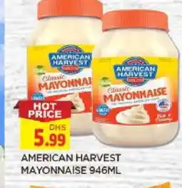 Al Madina AMERICAN HARVEST Mayonnaise offer