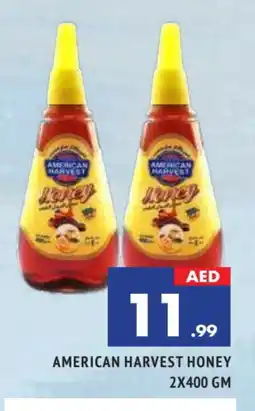 Al Madina AMERICAN HARVEST Honey offer