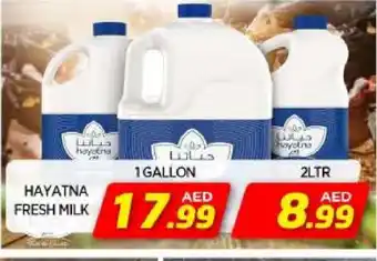 Al Madina HAYATNA Fresh Milk offer