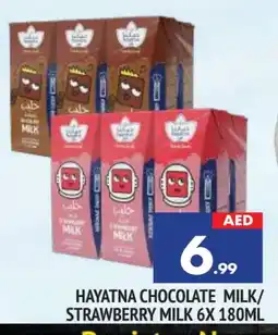 Al Madina HAYATNA Flavoured Milk offer