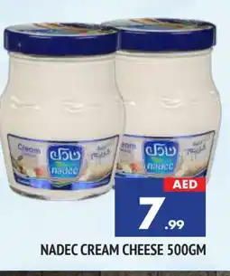 Al Madina NADEC Cream Cheese offer