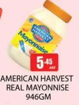 Zain Hypermarket AMERICAN HARVEST Mayonnaise offer