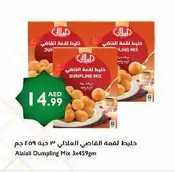 Istanbul Supermarket AL ALALI Dumpling Mix offer