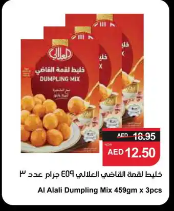 Spar AL ALALI Dumpling Mix offer