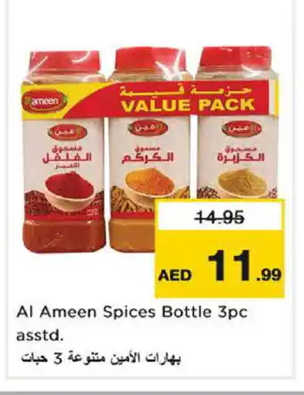 Nesto AL AMEEN Spices / Masala offer