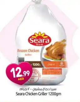 Bigmart SEARA Frozen Whole Chicken offer