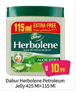 Bigmart DABUR Petroleum Jelly offer