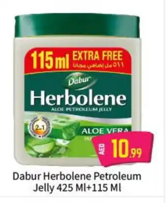 Bigmart DABUR Petroleum Jelly offer