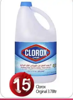Bigmart CLOROX Bleach offer