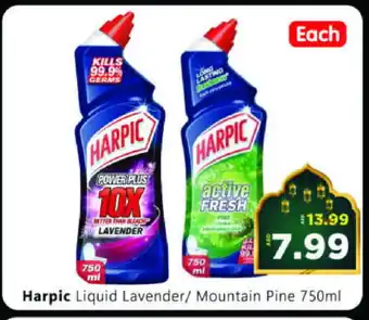 Al Madina Hypermarket HARPIC Toilet / Drain Cleaner offer