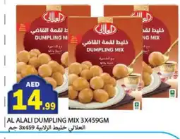 Rawabi Market AL ALALI Dumpling Mix offer