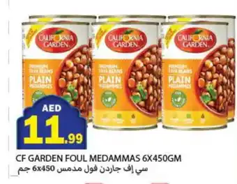 Rawabi Market CALIFORNIA GARDEN Fava Beans offer