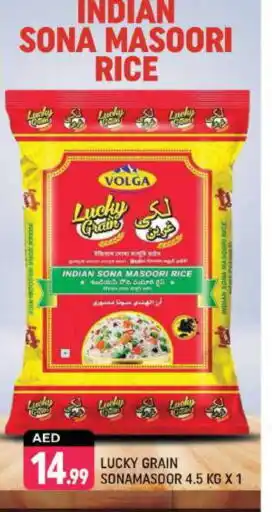Shaklan VOLGA Masoori Rice offer