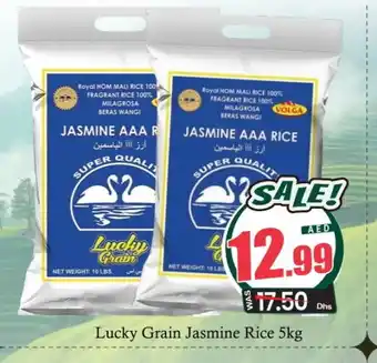 Al Madina VOLGA Jasmine Rice offer