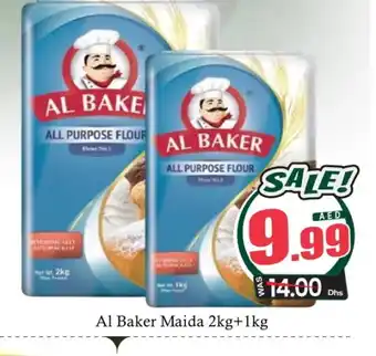 Al Madina AL BAKER All Purpose Flour offer