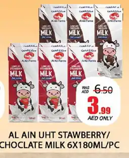 Al Madina AL AIN Long Life / UHT Milk offer