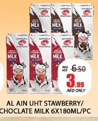 Al Madina AL AIN Long Life / UHT Milk offer