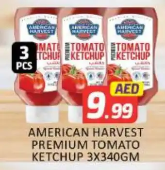 Al Madina AMERICAN HARVEST Tomato Ketchup offer