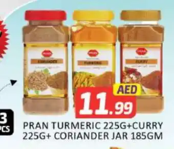 Al Madina PRAN Spices / Masala offer