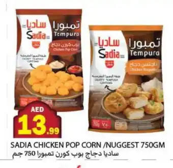 Rawabi Market SADIA Chicken Pop Corn offer