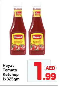 Day To Day HAYAT Tomato Ketchup offer